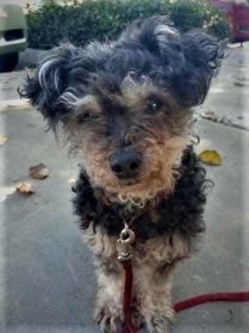 1509347226043MIMIlkjkjk-Mimi-pic-april-2023